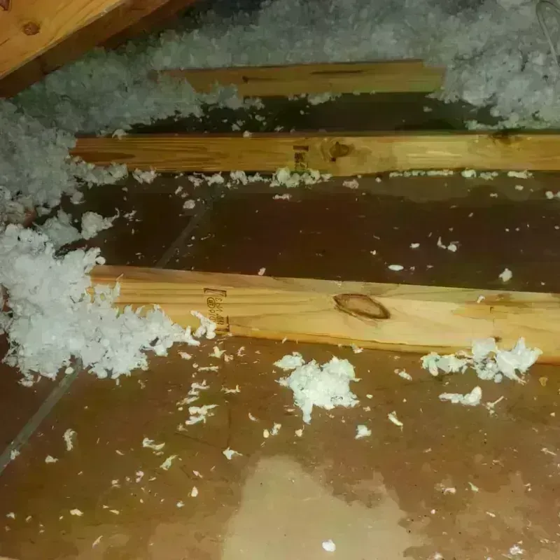 Attic Water Damage in West Little River, FL