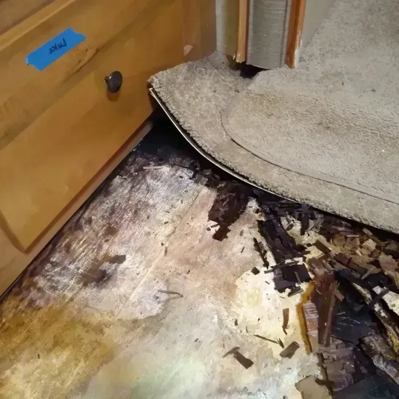 Wood Floor Water Damage in West Little River, FL